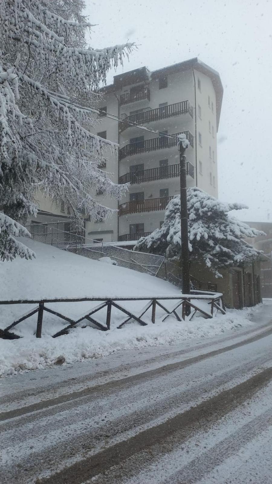 Sauze Guesthouse Apartment Oulx Exterior foto